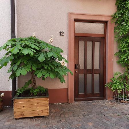Alte Bahnhofstrasse 12 Daire Karlstadt Dış mekan fotoğraf