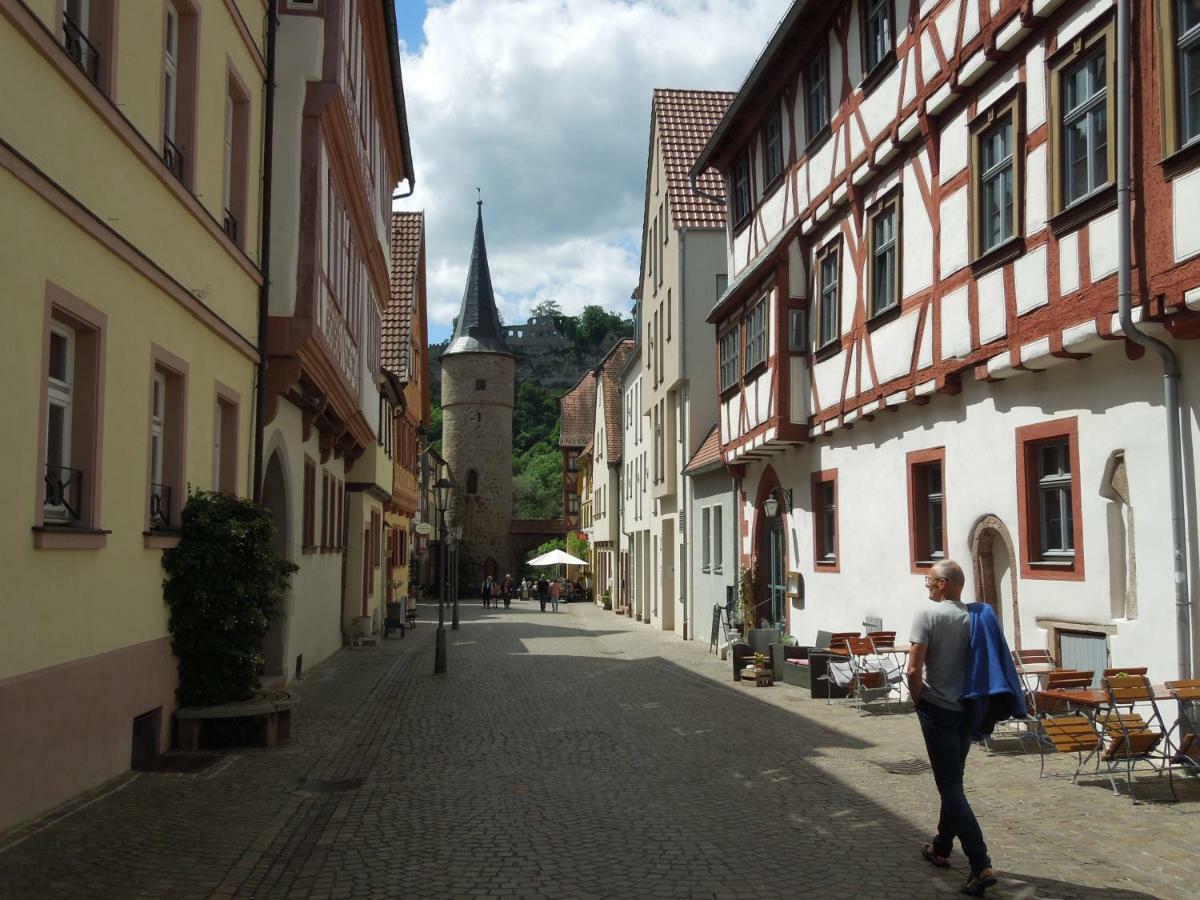 Alte Bahnhofstrasse 12 Daire Karlstadt Dış mekan fotoğraf